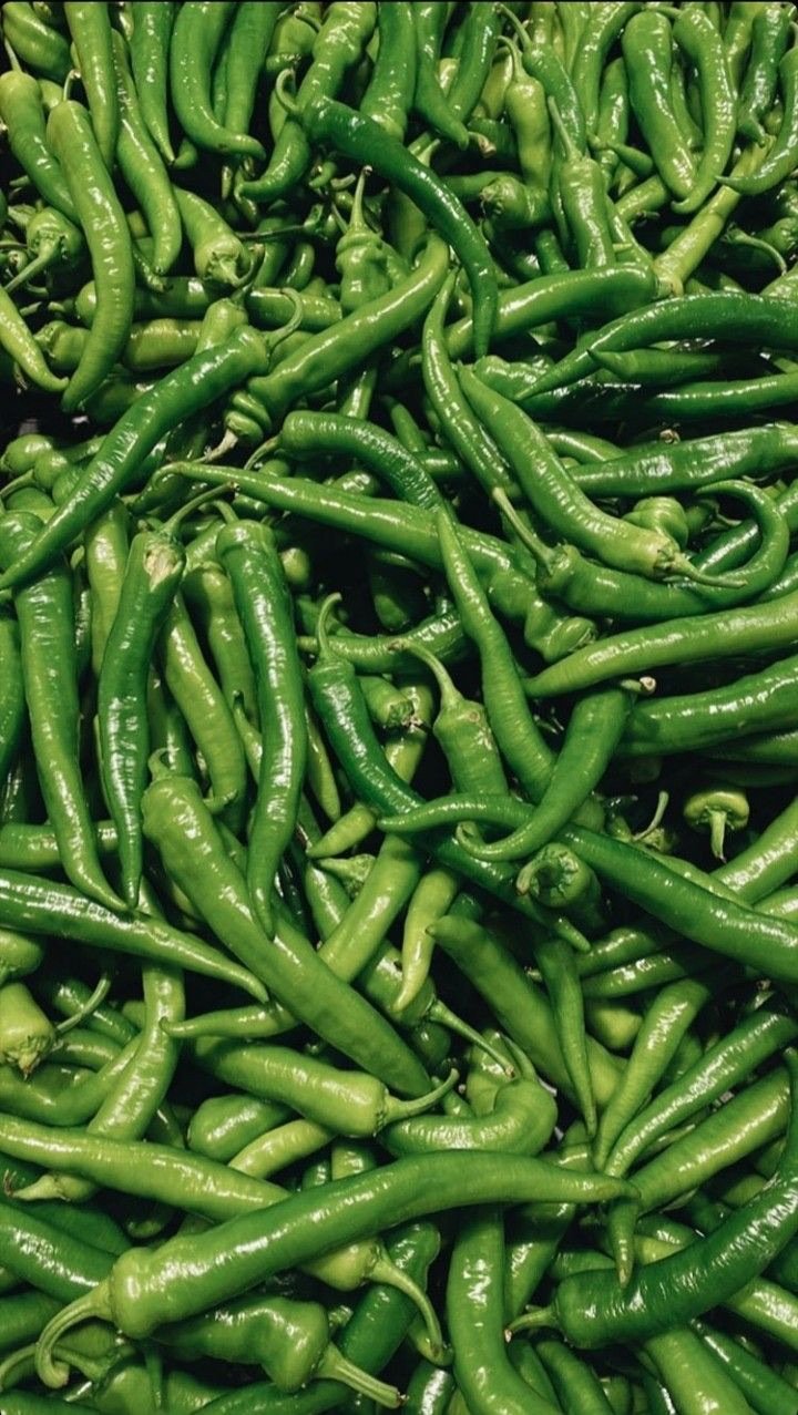Green chillies at Sarvajana Stores, Pappampatti