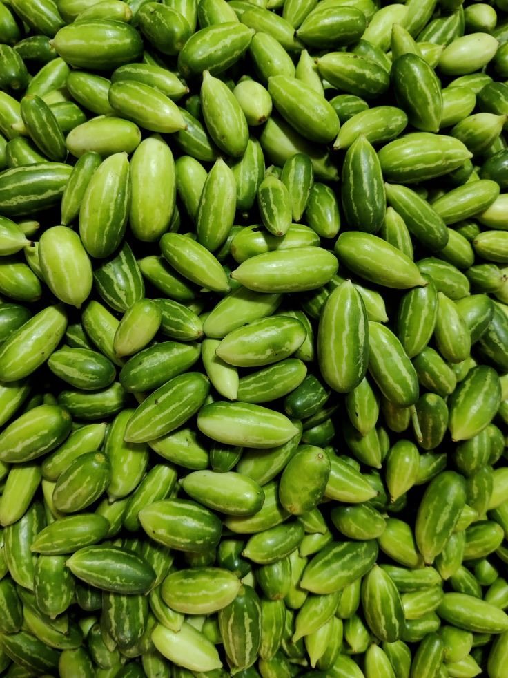 Ivy gourd