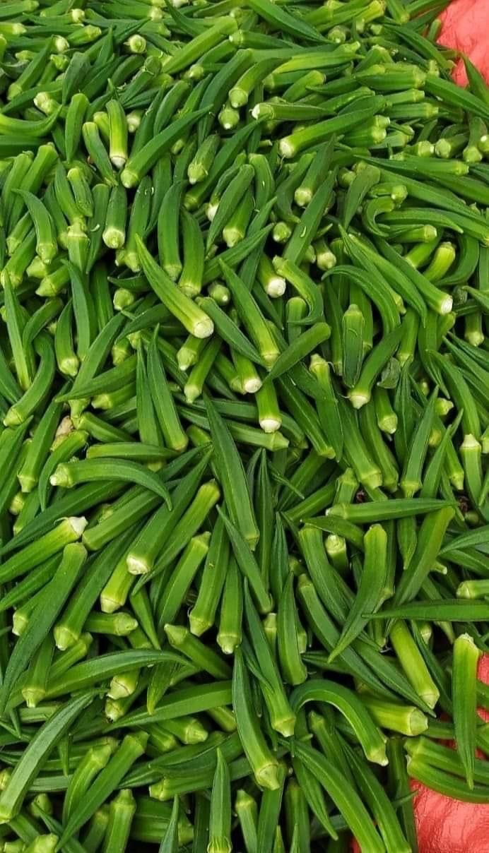 Okra at Sarvajana Stores, Pappampatti