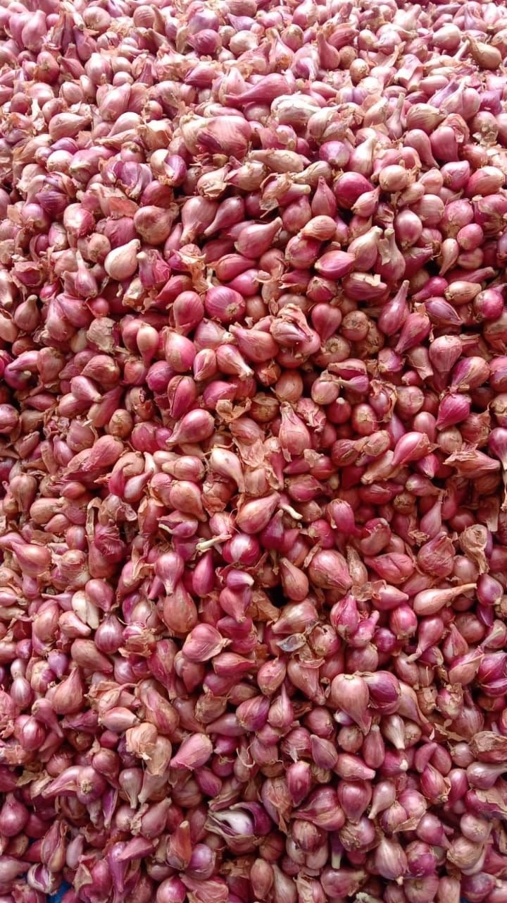 Small onions at Sarvajana Stores, Pappampatti
