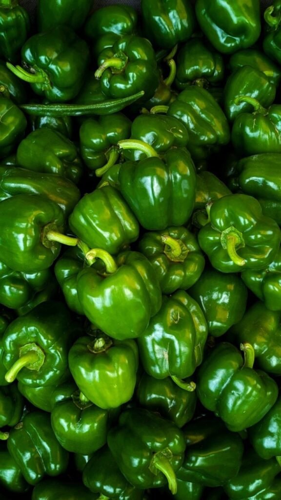 Fresh capsicum