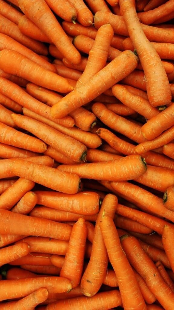 Fresh carrots