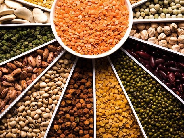 Trays of dals and pulses for a wedding