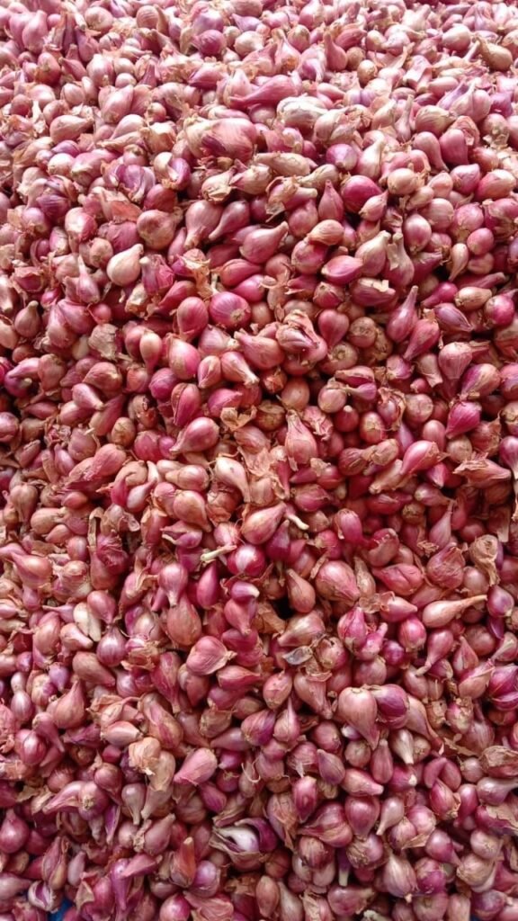 Small onions for South Indian cooking